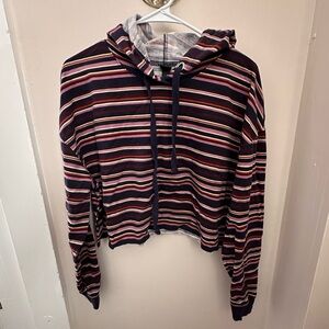 Wild fable striped hoodie